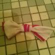 Pretty Knot Bows